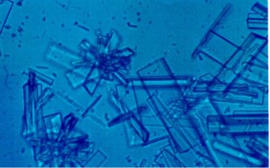 protein-crystals-img